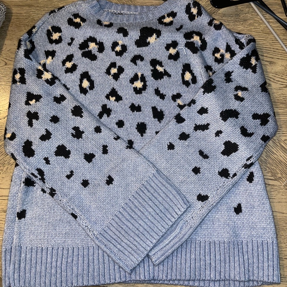 Baby blue leopard print fall sweater! 🐾